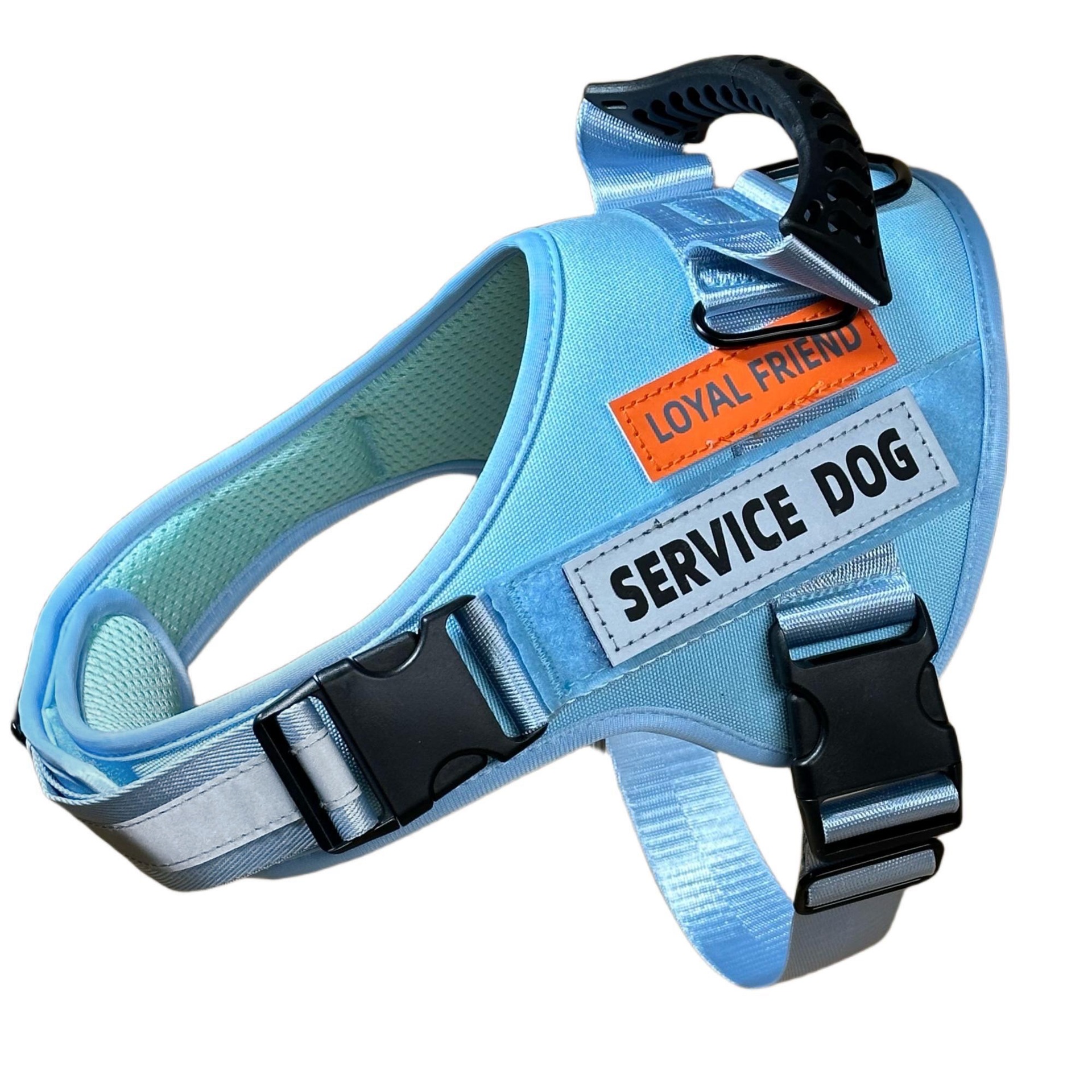 https://fulmo-img-server.com/wonderfulharness/f4ea2712-8ca4-4cfe-9d94-17053ba1a511.jpg