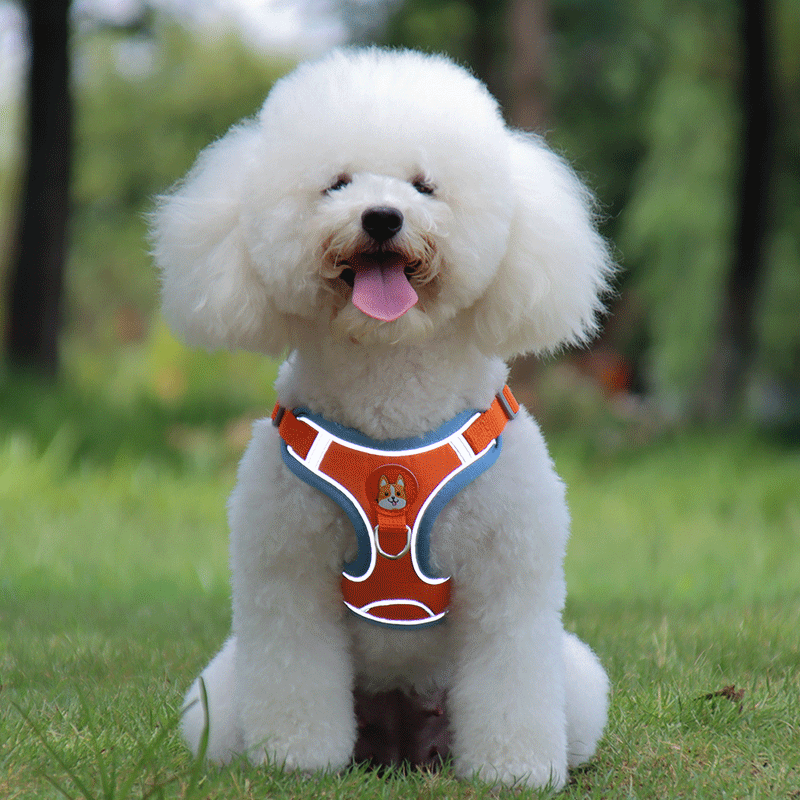 犬 ハーネス やさしい散歩ハーネス＆リードセット