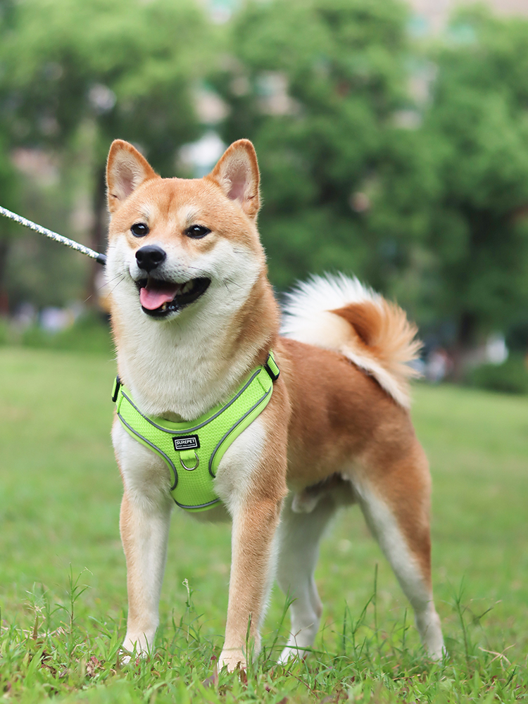 犬 ハーネス なめらか快適 シンプルハーネス