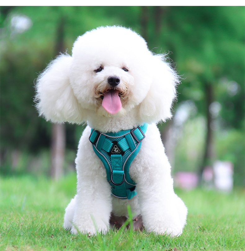 犬 ハーネス ペット安心フィットハーネス