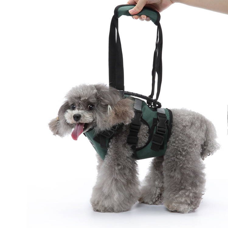 https://fulmo-img-server.com/wonderfulharness/f5cb2514-345e-475e-8bd1-01f7744ea614.jpg