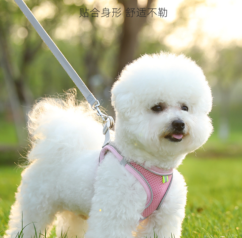 犬 ハーネス やさしい呼吸メッシュハーネス