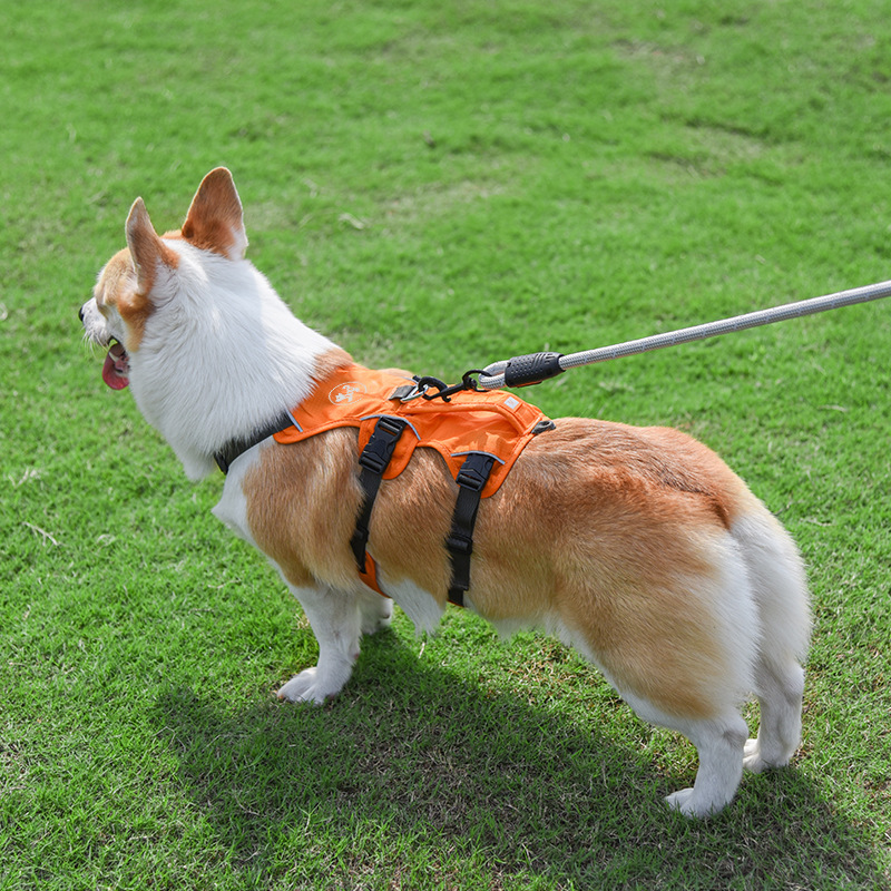犬 ハーネス あんしん快適ハーネス