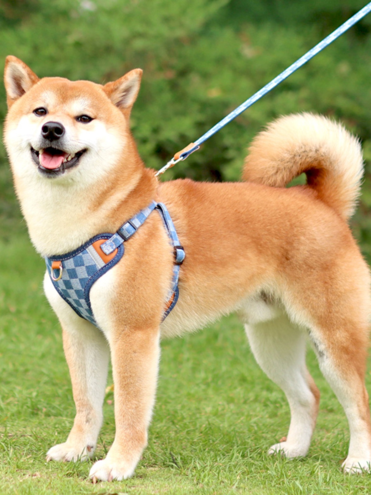 犬 ハーネス 柔らか素材のやさしいハーネス