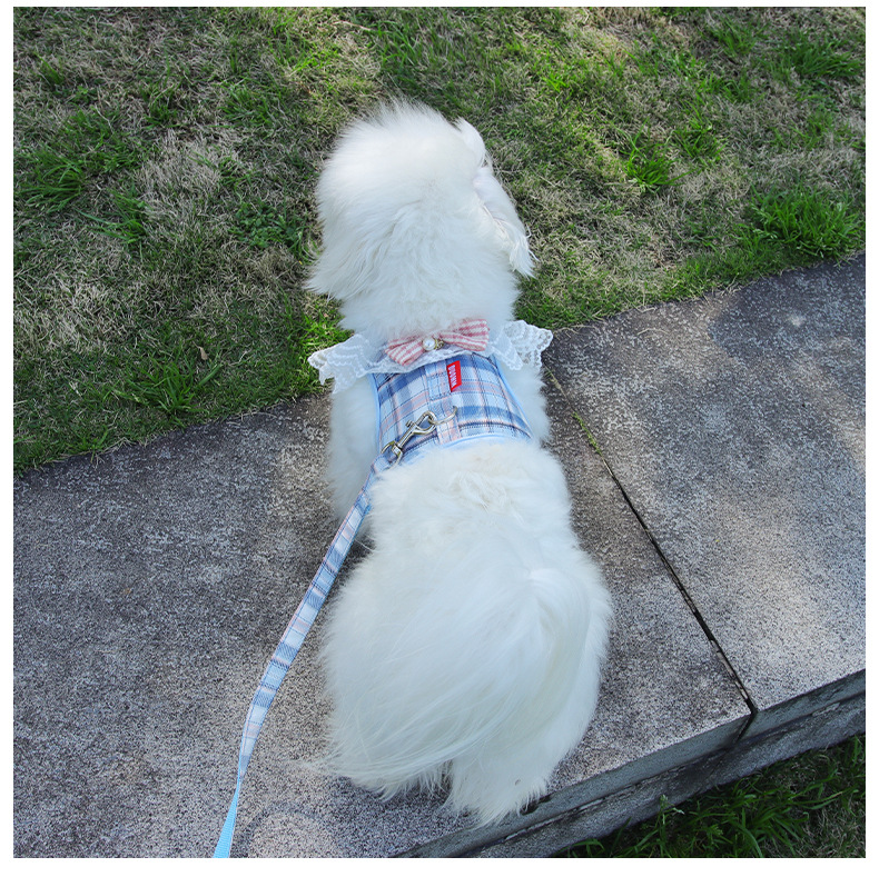 犬 ハーネス ふんわり姫レースハーネス