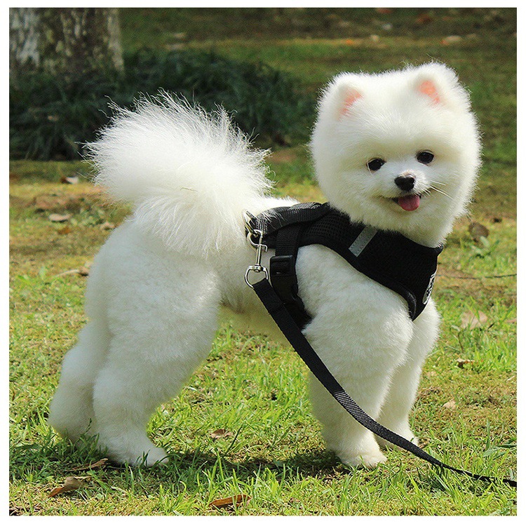 犬 ハーネス もこもこ安心メッシュハーネス