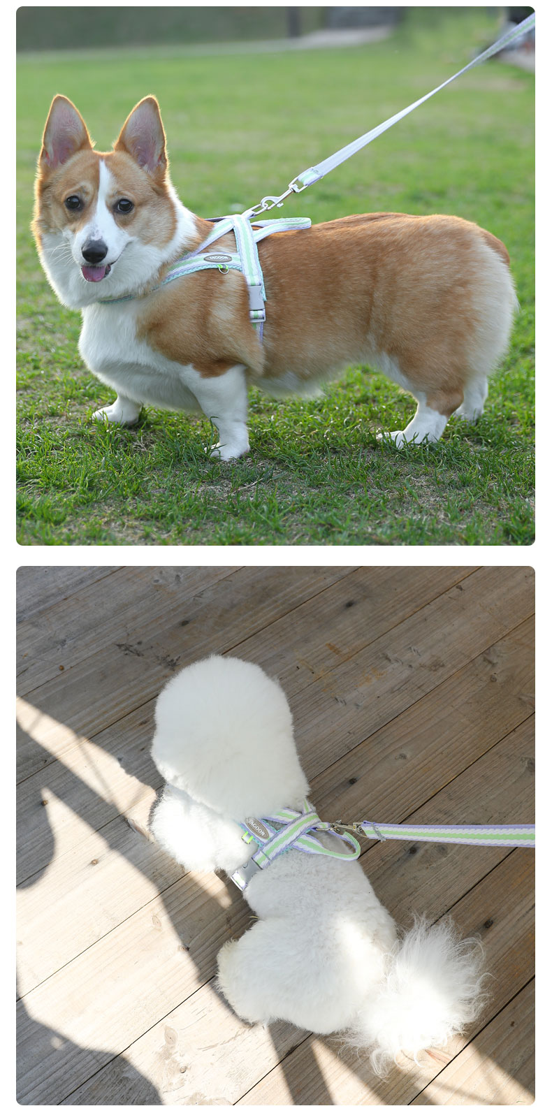 犬 ハーネス やさしさ重視 ソフトフィットハーネス