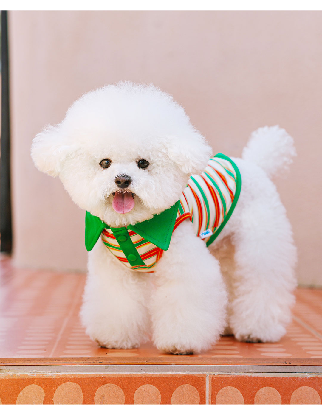 犬 ハーネス 上品なお出かけ蝶ネクタイハーネス