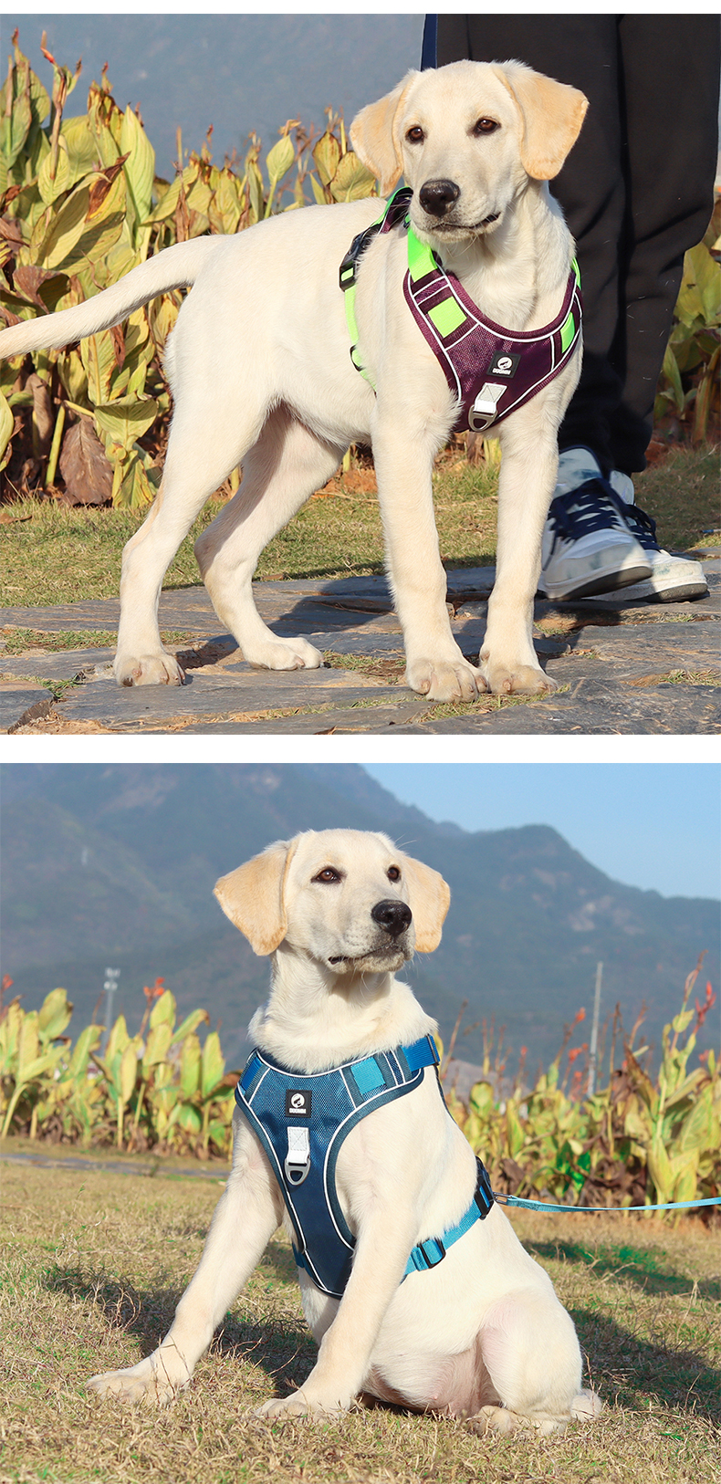 犬 ハーネス アウトドア対応 機能美ハーネス