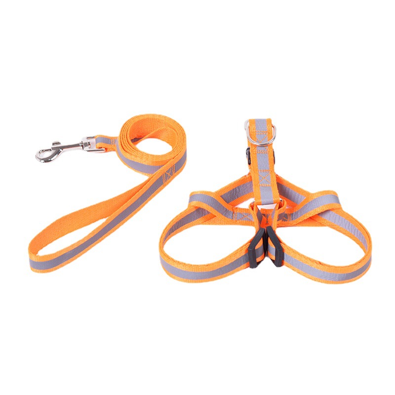 https://fulmo-img-server.com/wonderfulharness/f72eef4c-b8be-4245-9df7-013ab2a5426d.jpg