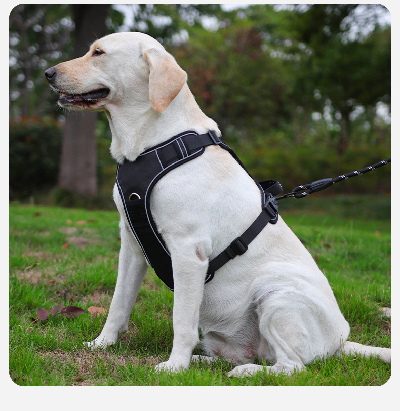 犬 ハーネス ゆとりハーネス