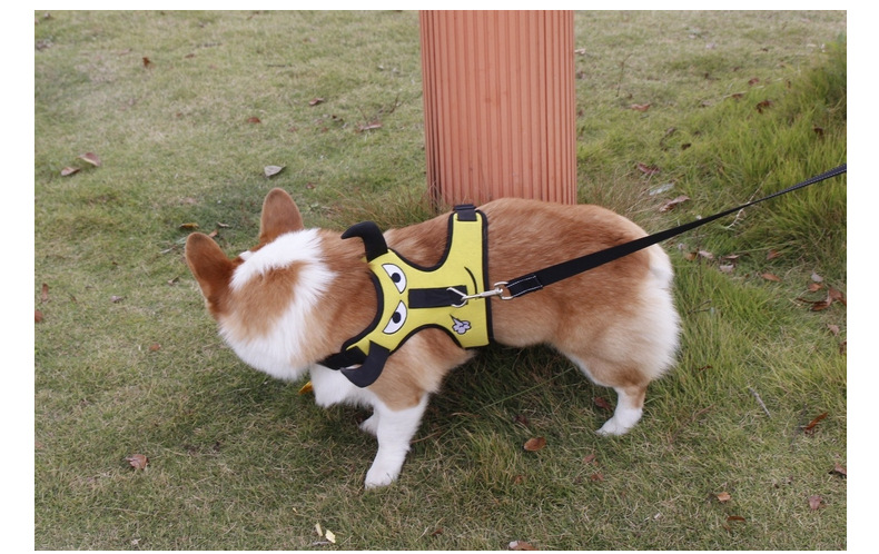 犬 ハーネス かえるさんハーネス