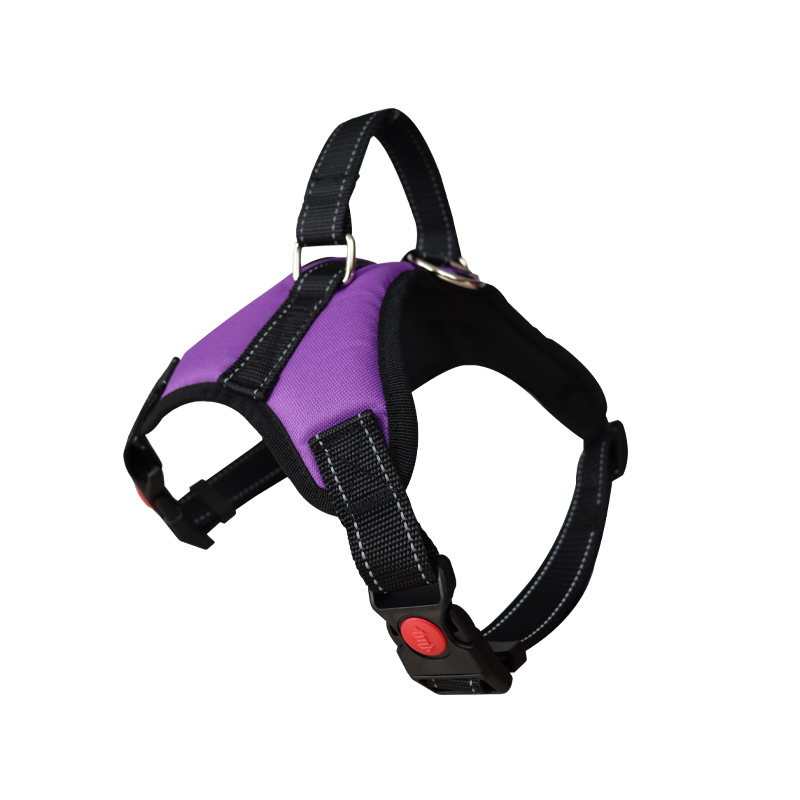 https://fulmo-img-server.com/wonderfulharness/f803f452-aeba-448f-9800-51b5f98283bb.jpg