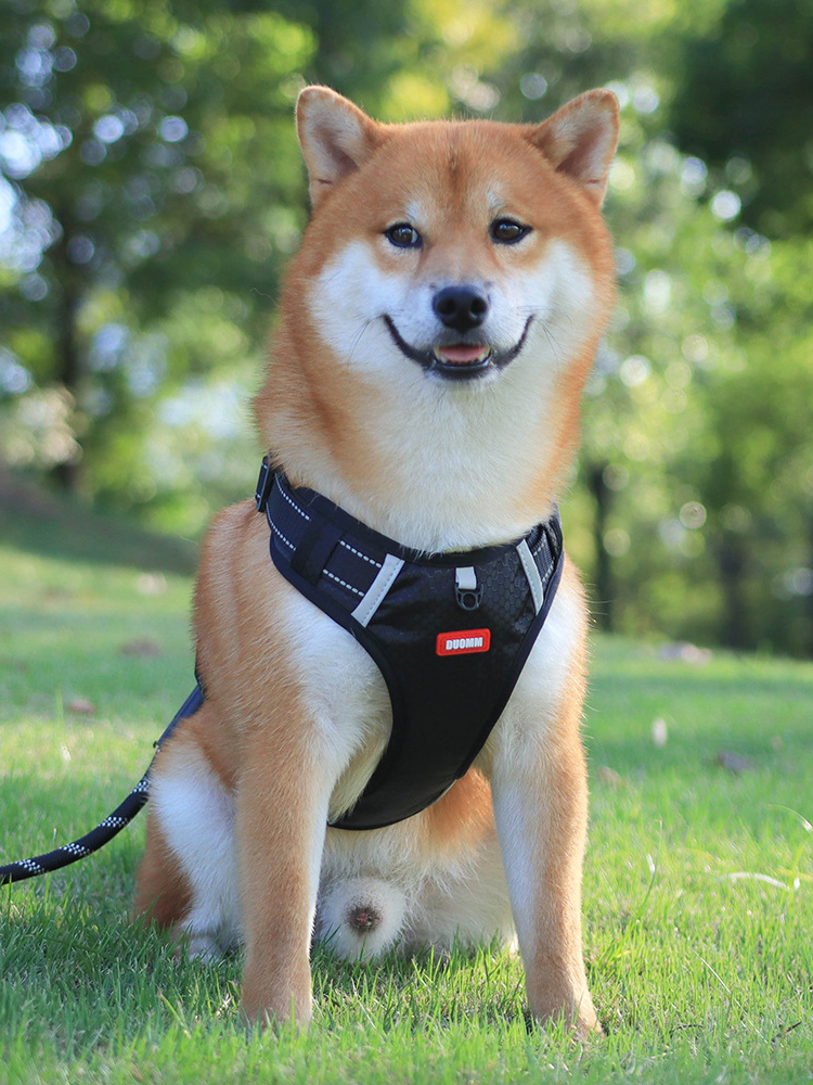 犬 ハーネス 快適支持 胸あて式ハーネス
