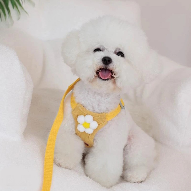 犬 ハーネス デイジーモチーフ やさしい散歩ハーネス