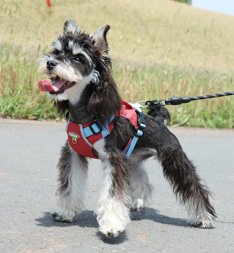 犬 ハーネス やわらか快適ハーネス