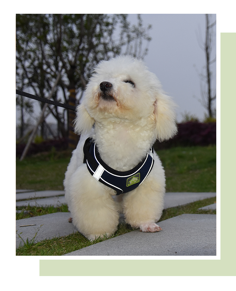 犬 ハーネス なめらか着心地 やすらぎハーネス