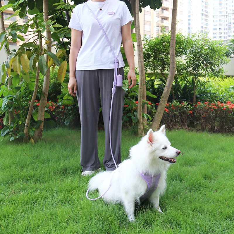 犬 ハーネス 大人の街歩きハーネス＆リードセット
