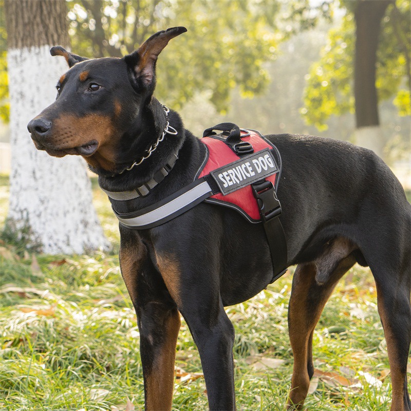 犬 ハーネス 介助犬用ソフトフィットハーネス