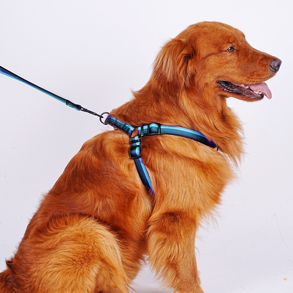 犬 ハーネス 快適シンプル ペットハーネス