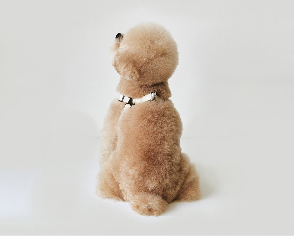 犬 ハーネス やわらか革調ハーネス うるおい