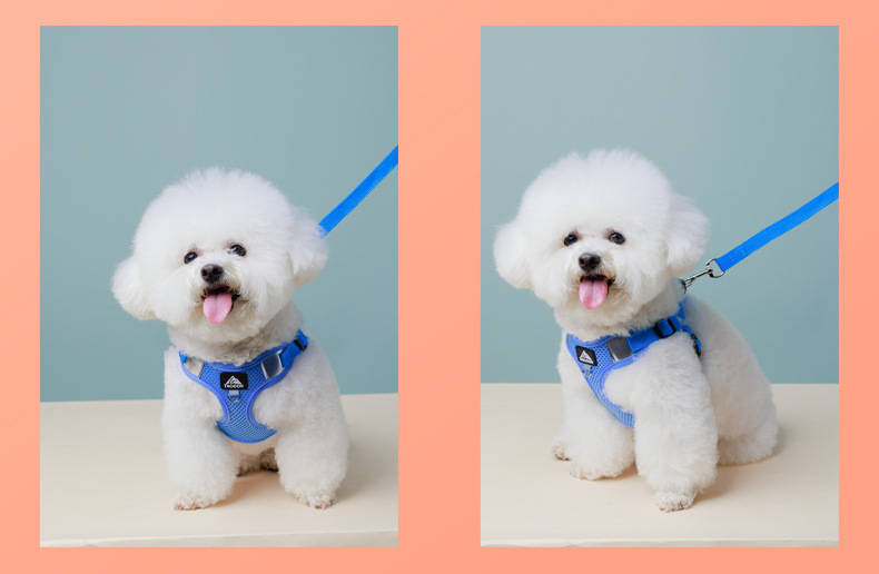 犬 ハーネス やわらか快適メッシュハーネス