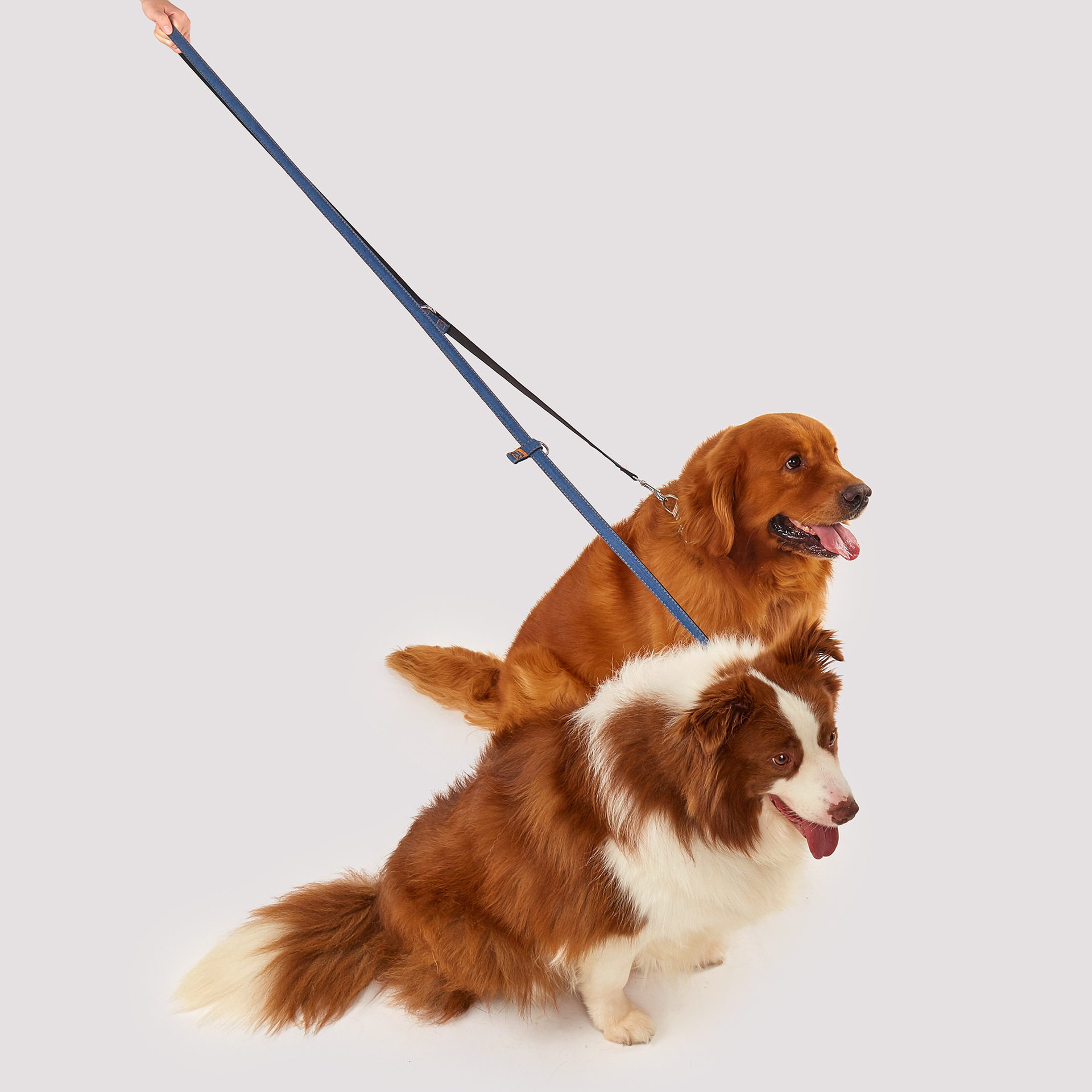 犬 ハーネス クロスストラップ散歩ベルト