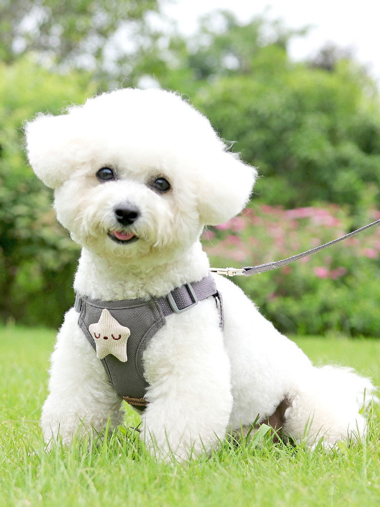 犬 ハーネス お花のついたふんわりハーネス