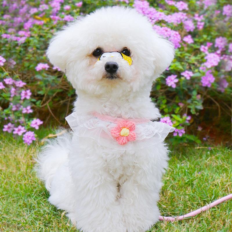 犬 ハーネス ふんわり花レースハーネス