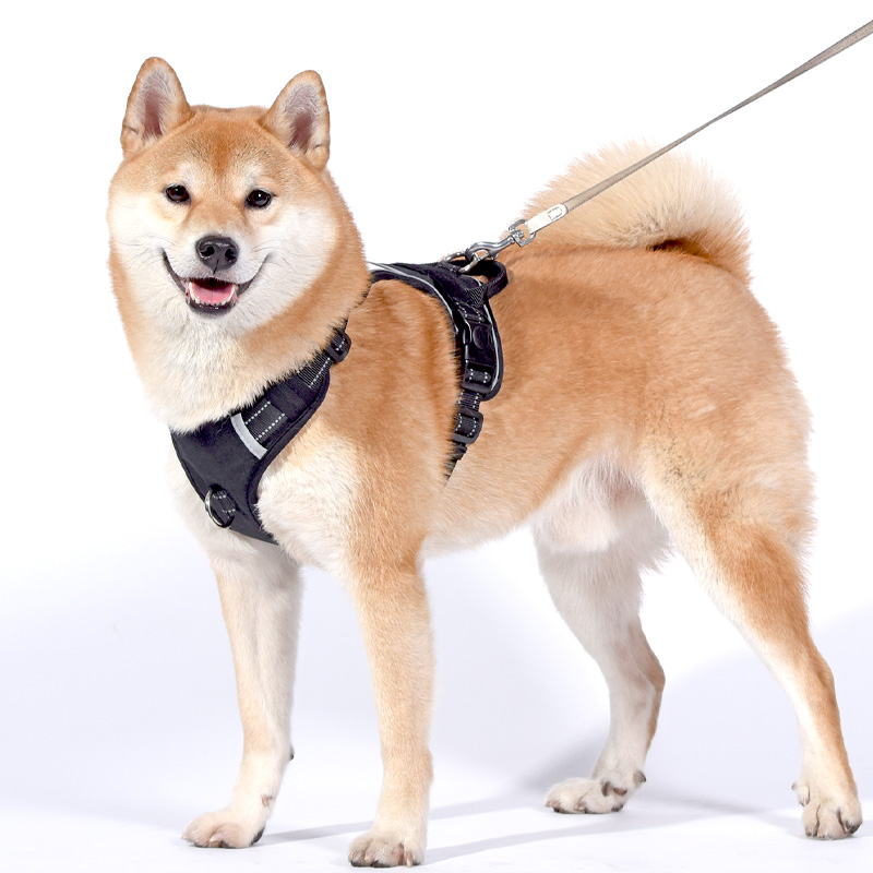 犬 ハーネス ふんわり包む 安心ハーネス