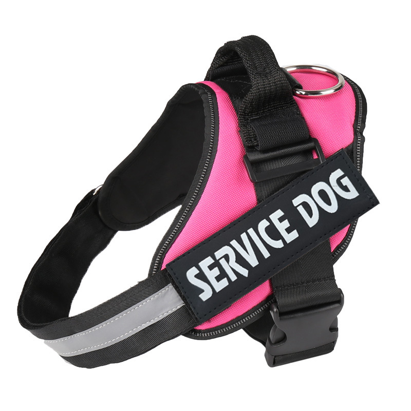 https://fulmo-img-server.com/wonderfulharness/fa589c86-76eb-47d8-b15c-24a50b0e7a18.jpg