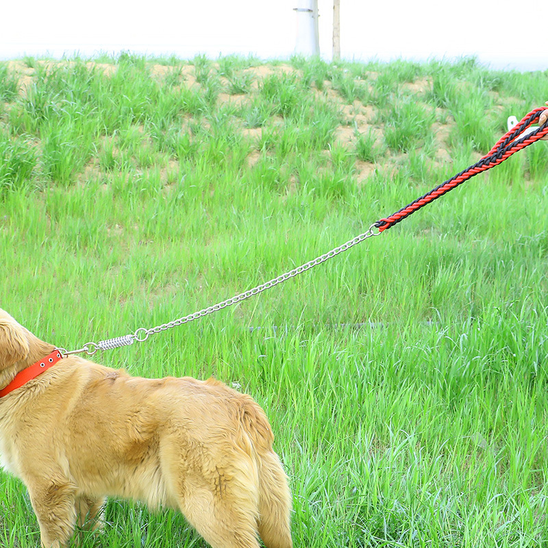 犬 ハーネス 匠の技 組紐アームリード