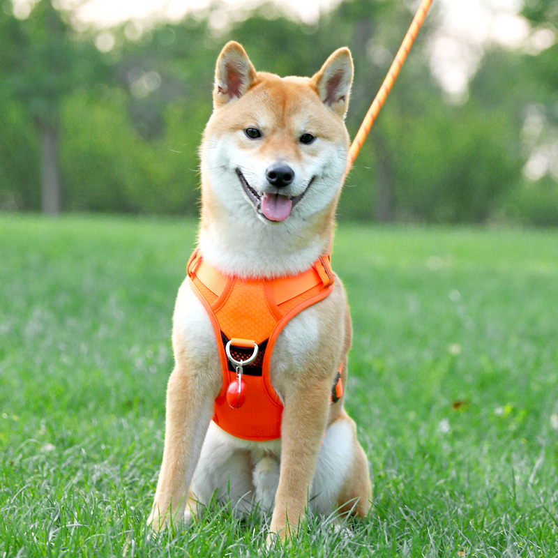 犬 ハーネス なめらか安心フィットハーネス