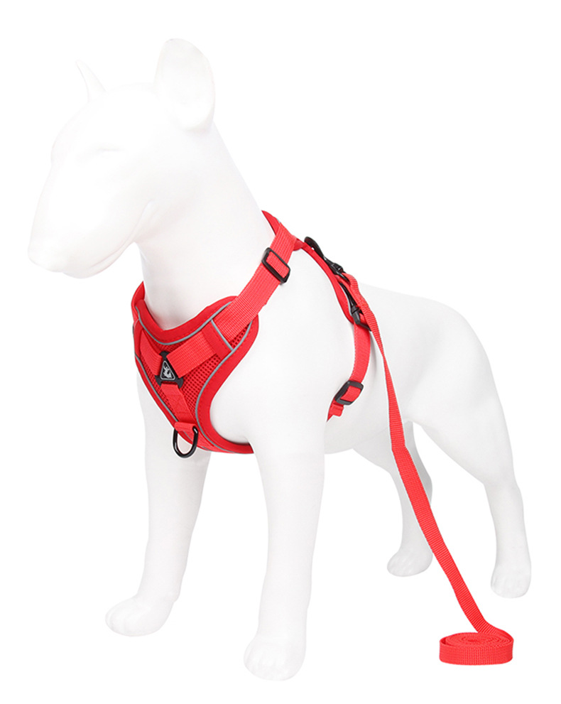 https://fulmo-img-server.com/wonderfulharness/fb26c11b-f7a9-4230-859d-6725bcd516dc.jpg