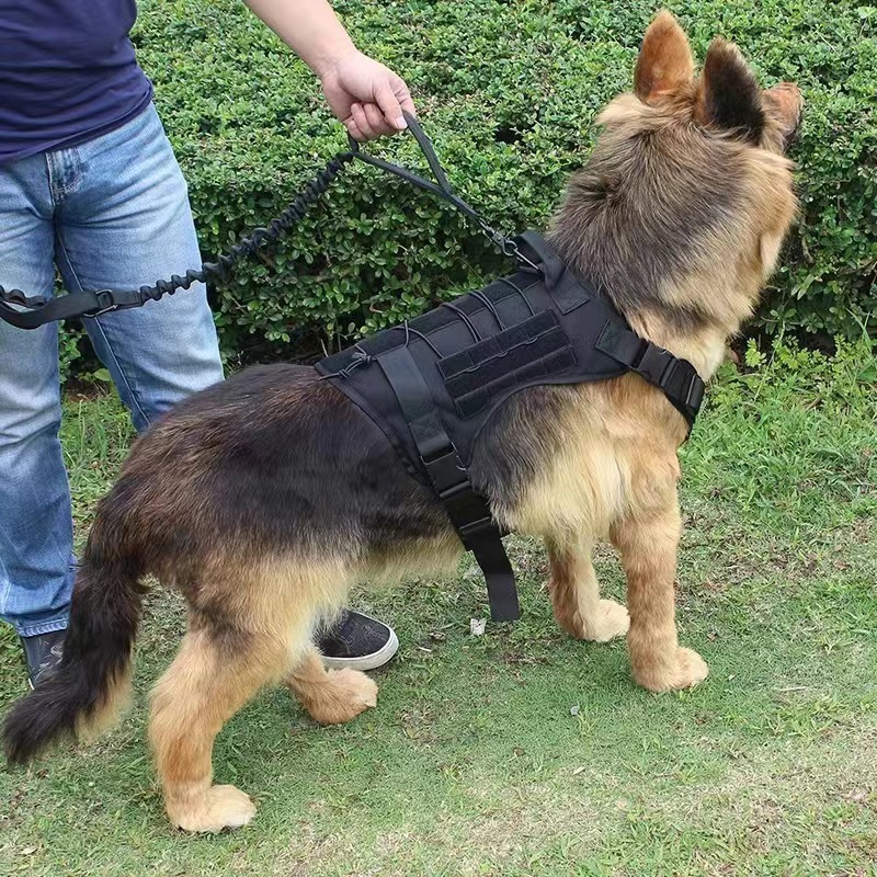 https://fulmo-img-server.com/wonderfulharness/fb406178-7761-433b-afae-5b67fb589971.jpg