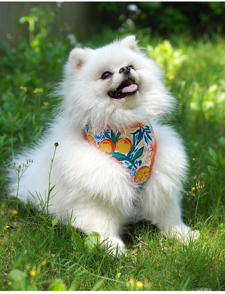 犬 ハーネス 爽やかトロピカル ペットハーネス