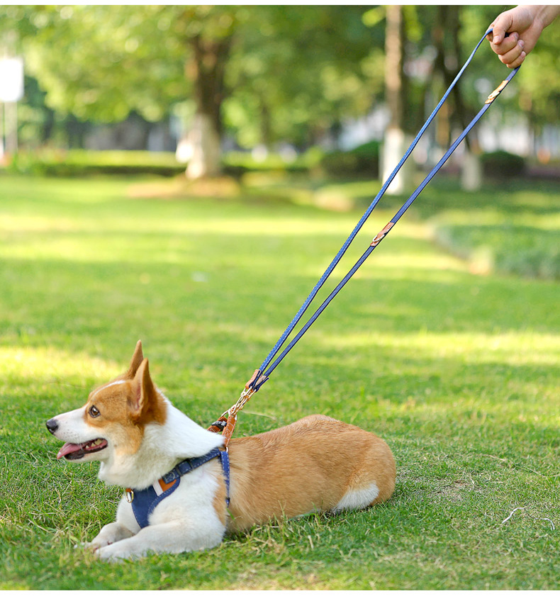 犬 ハーネス やさしい呼吸ゆったりハーネス