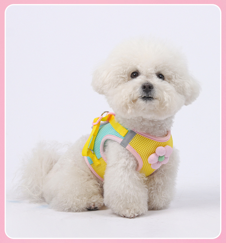 犬 ハーネス こだわり職人の優美ハーネス