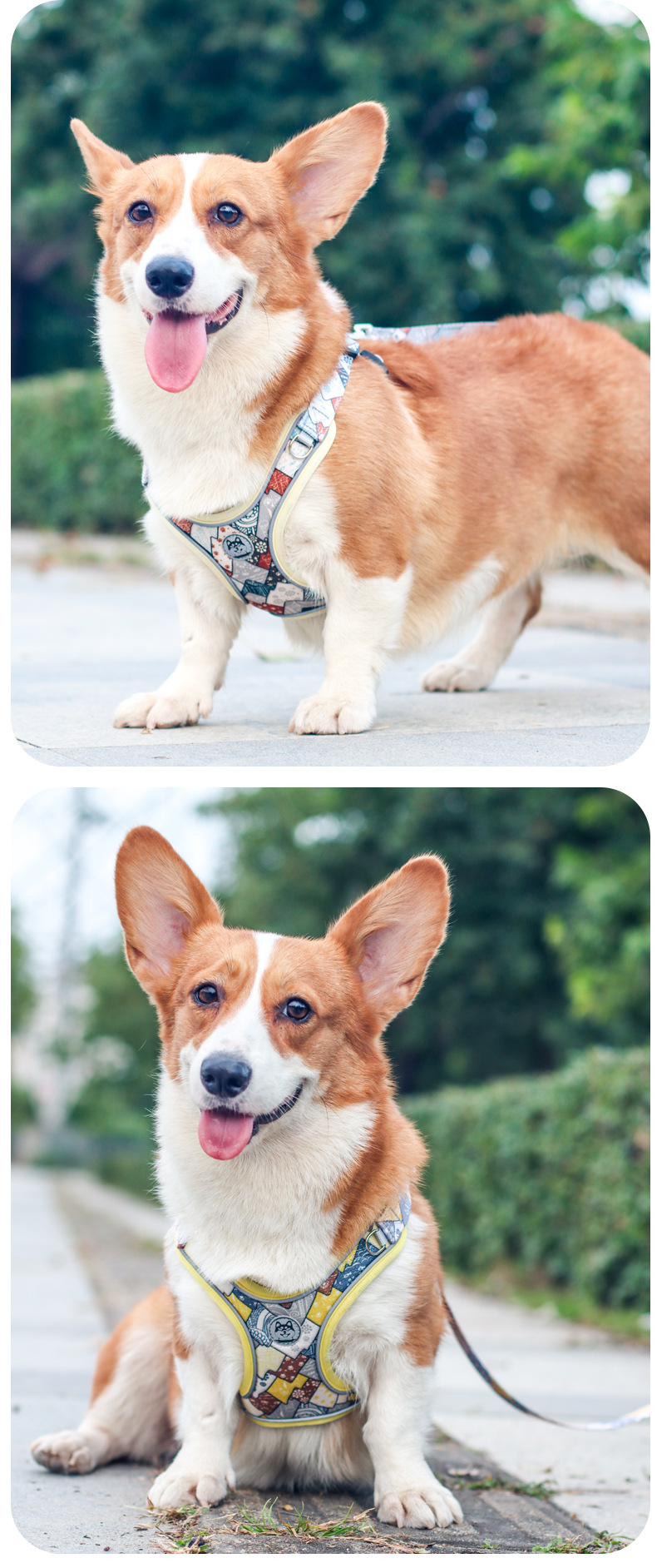 https://fulmo-img-server.com/wonderfulharness/fca6a62d-9a40-4c4a-a7b6-30b22738de6f.jpg