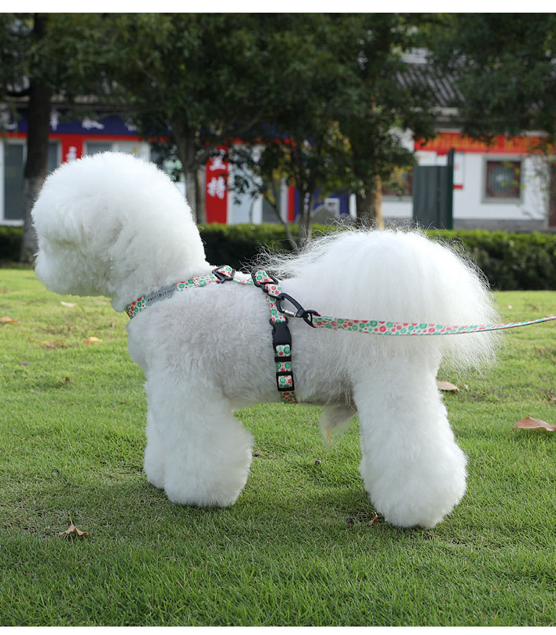 犬 ハーネス ふわもこペット用シンプル胴輪セット