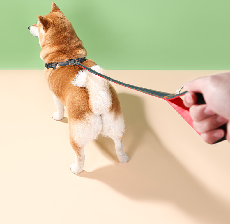 犬 ハーネス 優美な職人技ハーネス