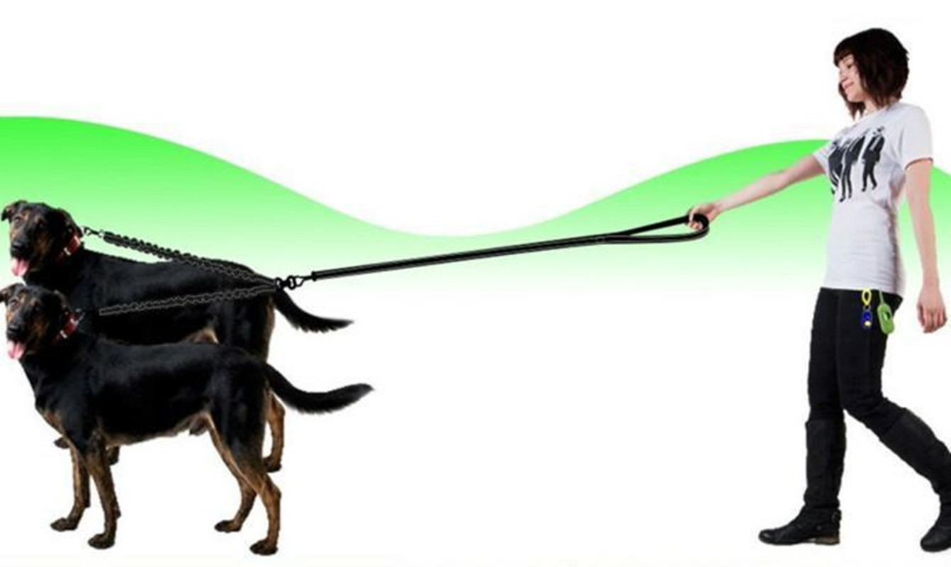 犬 ハーネス まっすぐ歩けるツインハーネス