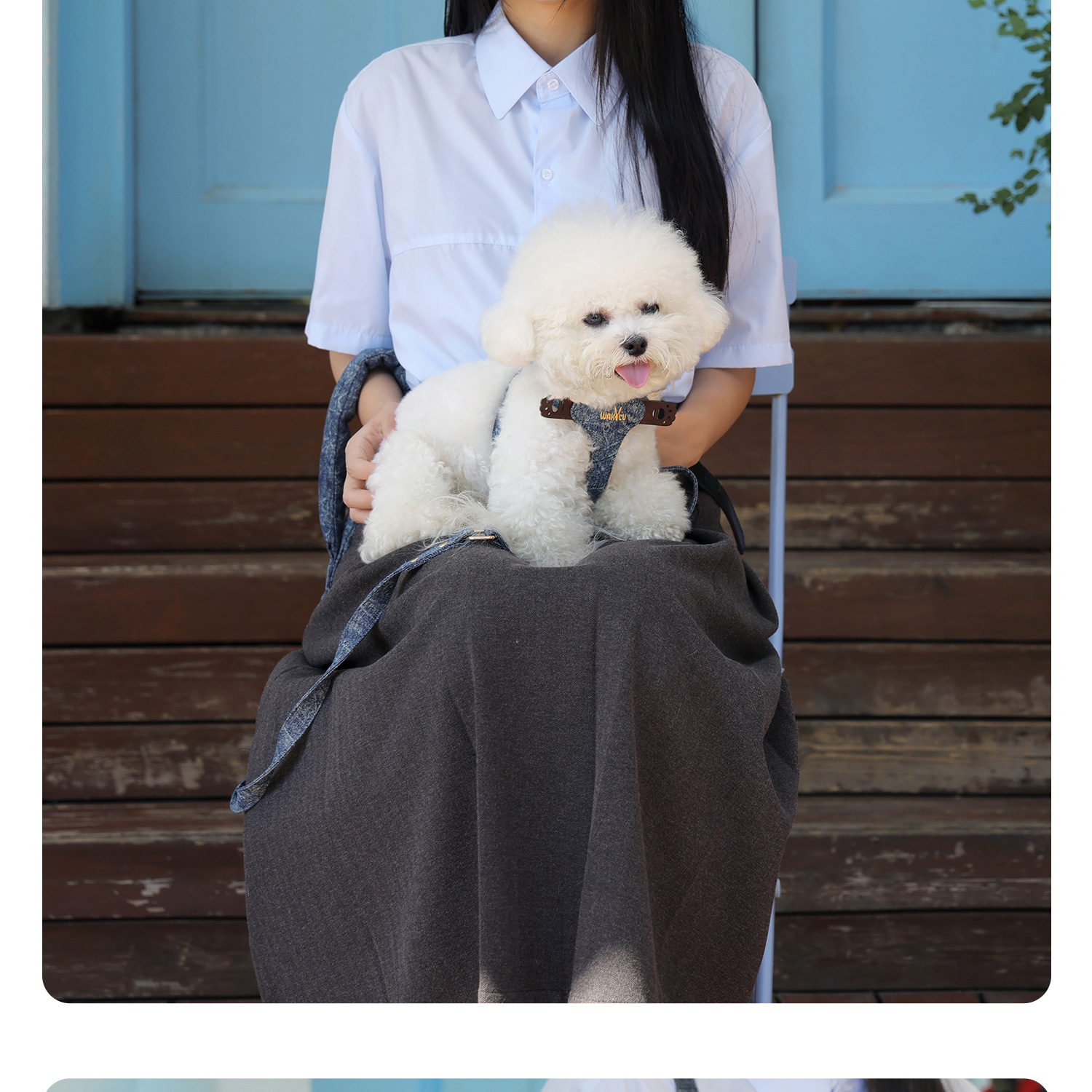 犬 ハーネス ふわもこ優美ハーネス