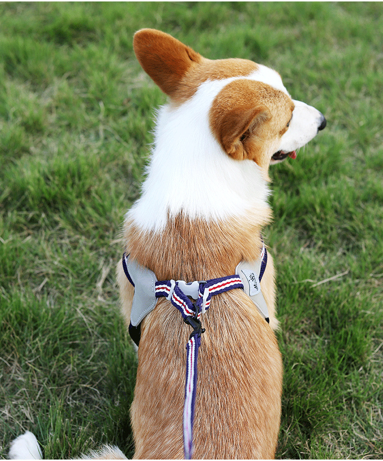 犬 ハーネス なめらか安心メッシュハーネスセット
