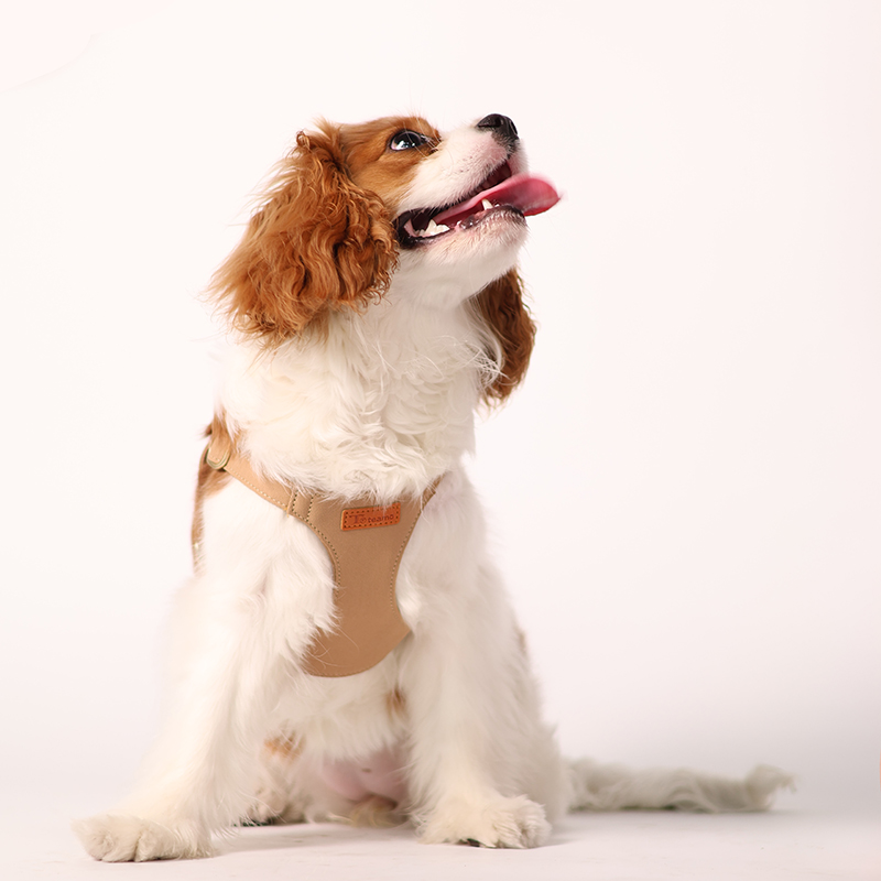 犬 ハーネス やさしさ包むふんわりハーネス