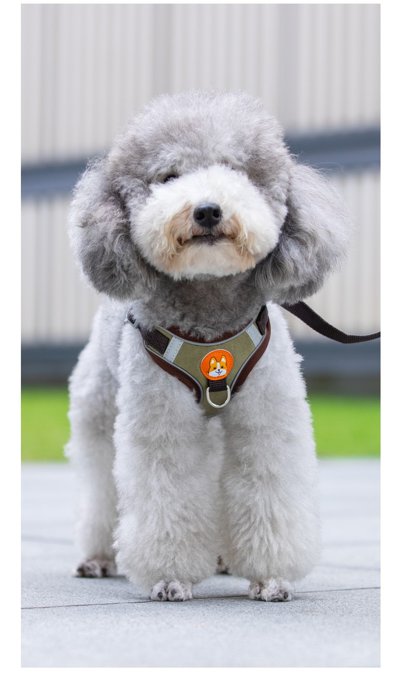犬 ハーネス やさしい着け心地 ソフトハーネス