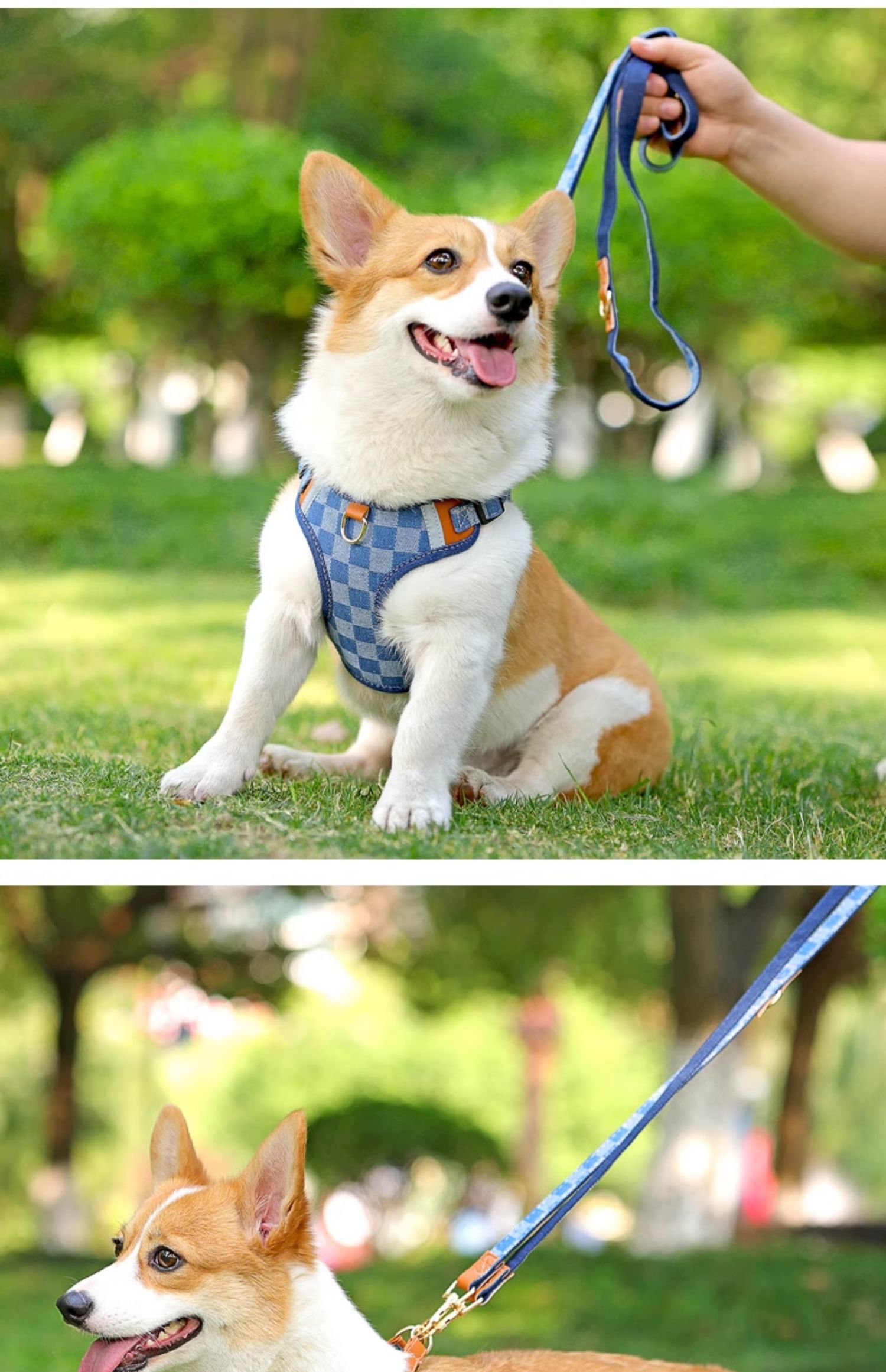 犬 ハーネス やさしい呼吸ゆったりハーネス