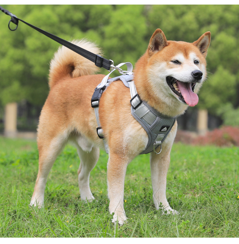 犬 ハーネス 風格漂う職人仕立てハーネス