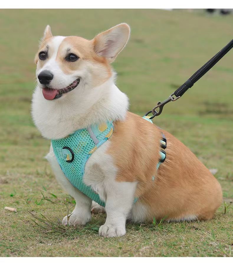 犬 ハーネス メッシュ素材の涼やか散歩ハーネス