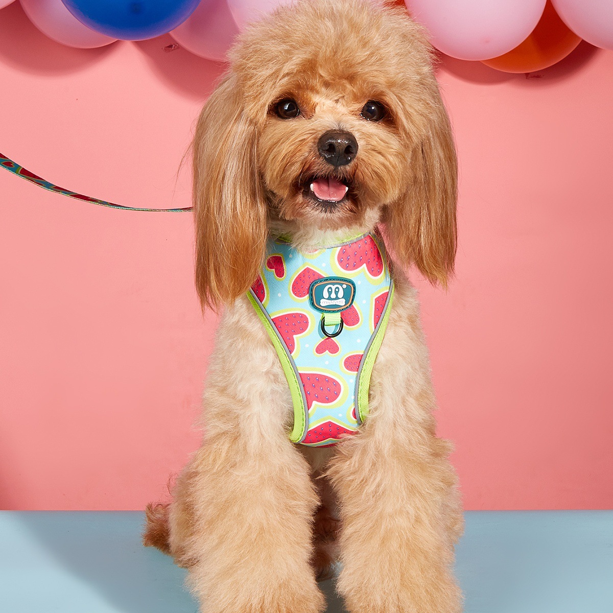 犬 ハーネス ハート模様の優しさハーネス